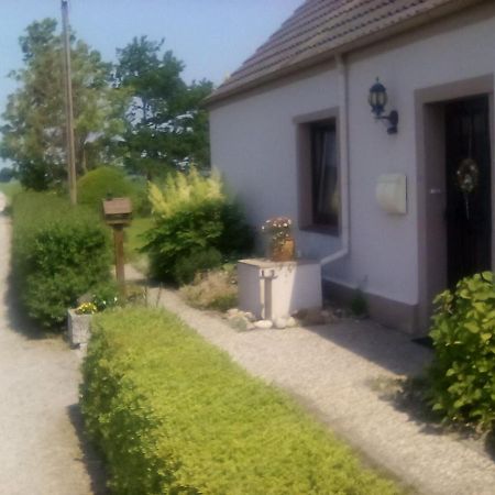 Bed and Breakfast Up De Pfahldeichsweg Neugarmssiel Zewnętrze zdjęcie